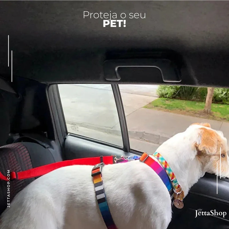 Coleira Pet de Segurança Ajustável para Carros - Jetta PetSafe™ [PROMOÇÃO LIMITADA]